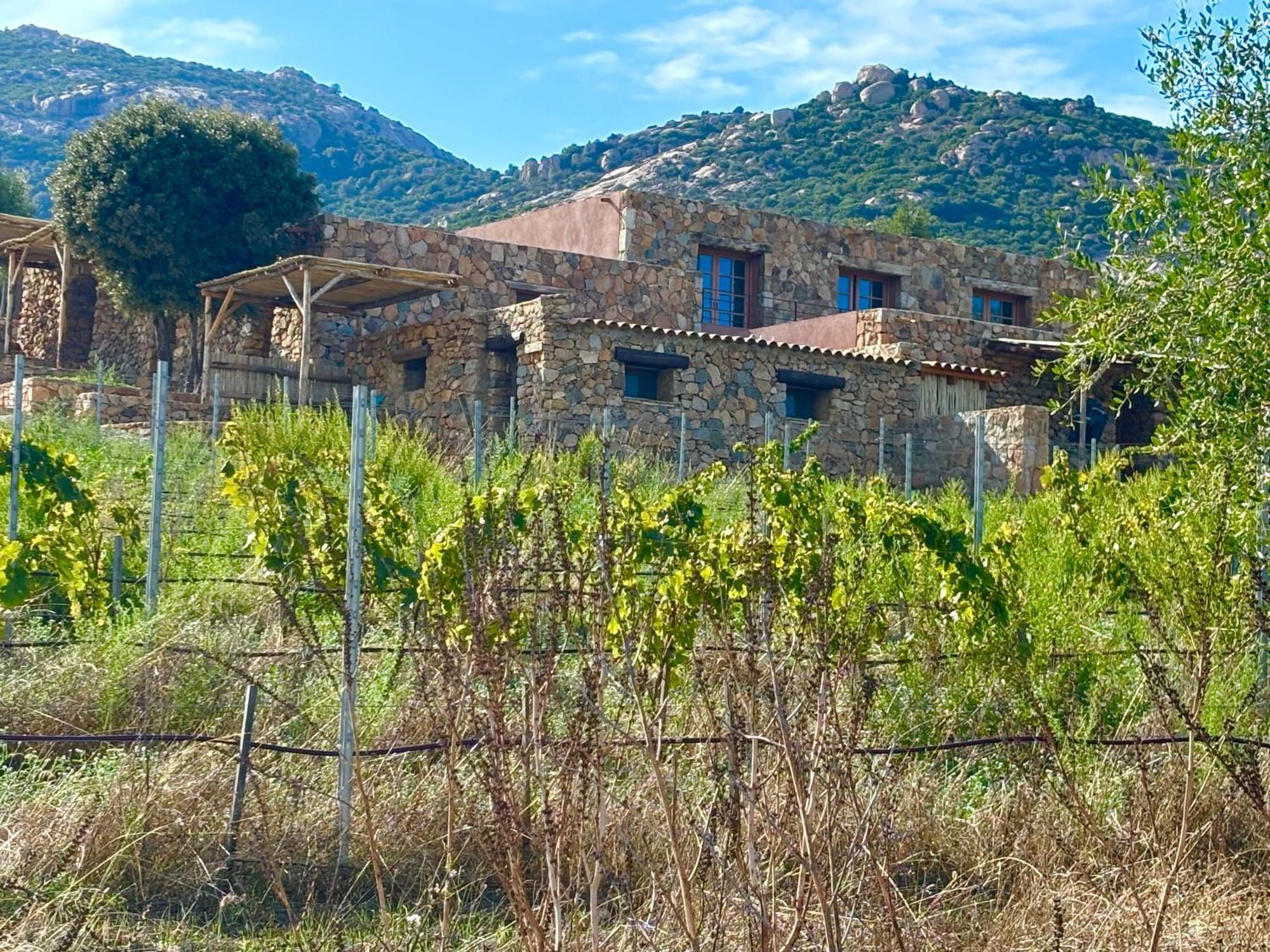 Les Bergeries De Calvi * Calvi (Corsica)