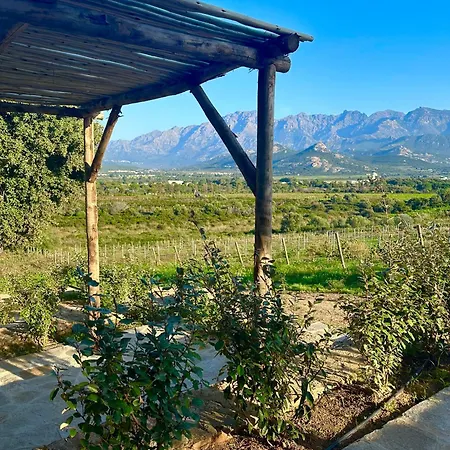 Villa Les Bergeries De Calvi Calvi  Exterior photo