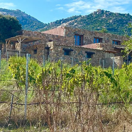 Villa Les Bergeries De Calvi Calvi  Exterior photo