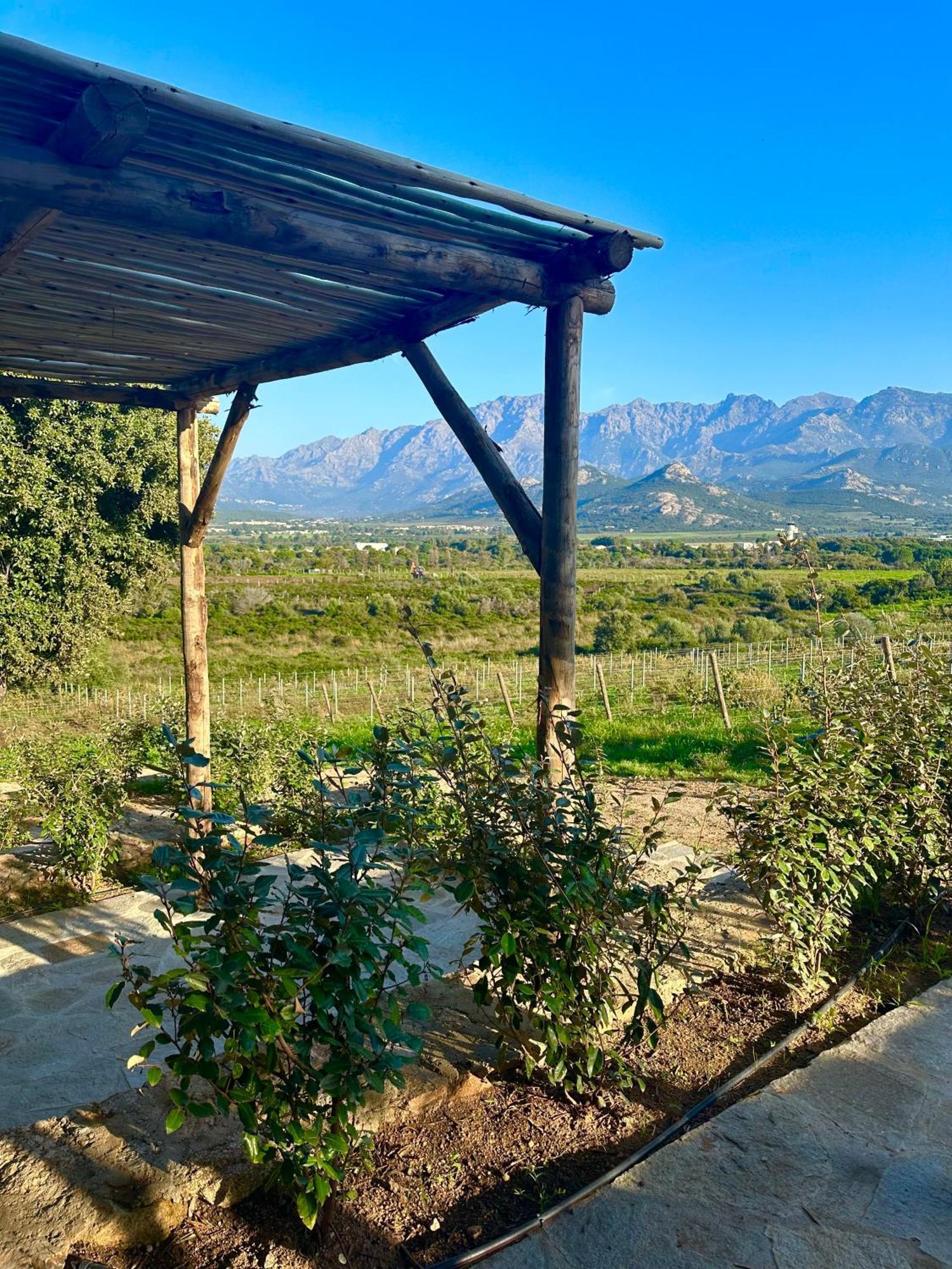 Les Bergeries De Calvi