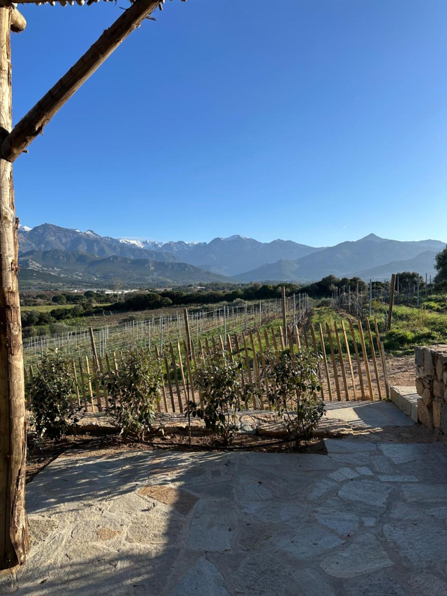 Les Bergeries De Calvi Holiday home